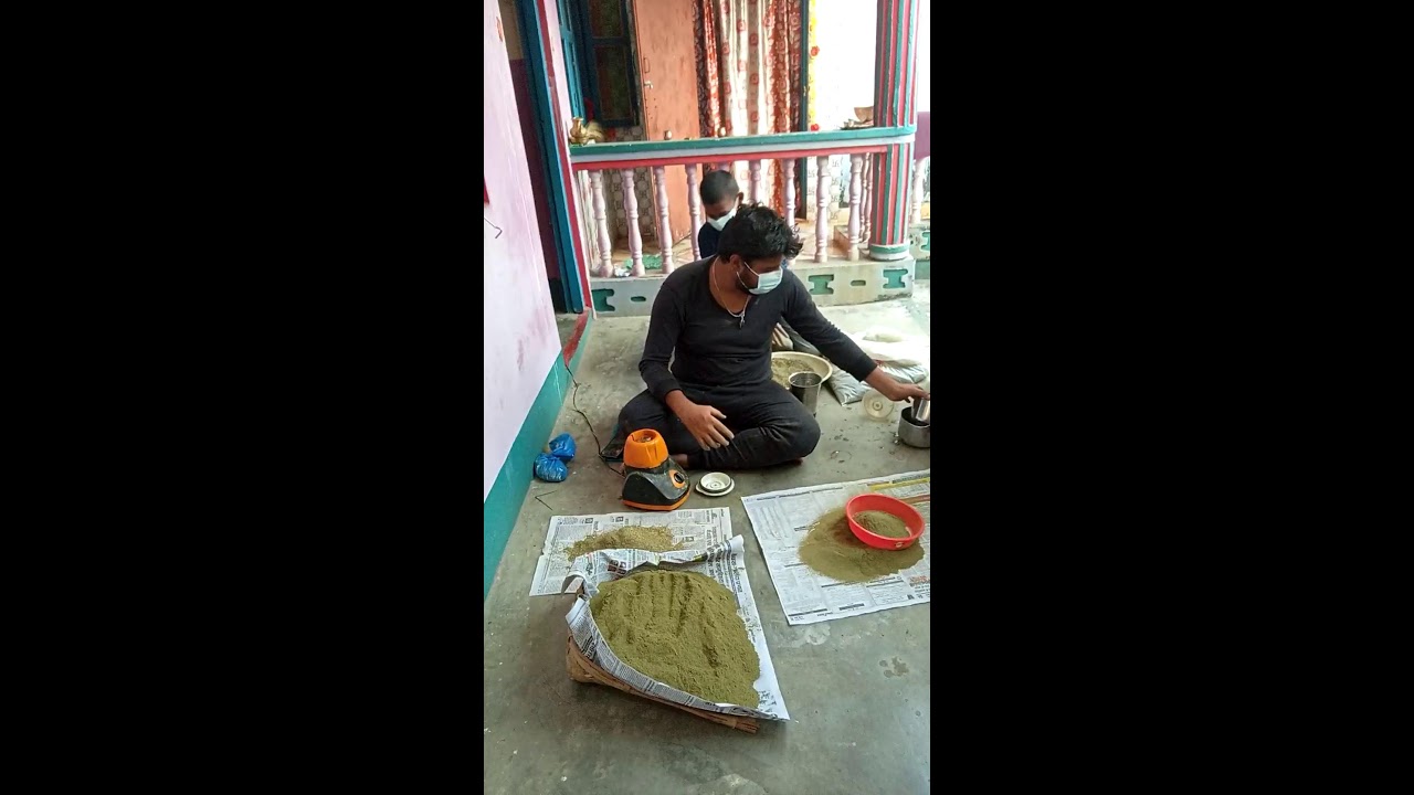 Moringa powder preparation process|super food.