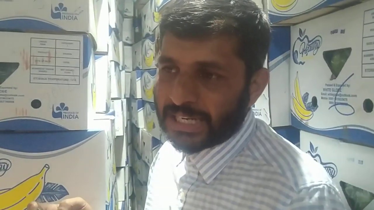 498-BALRAM KISAN Banana Export केला निर्यात किसान पाठशाला 7697438222,9754838222 BKISAN SMART FARMING
