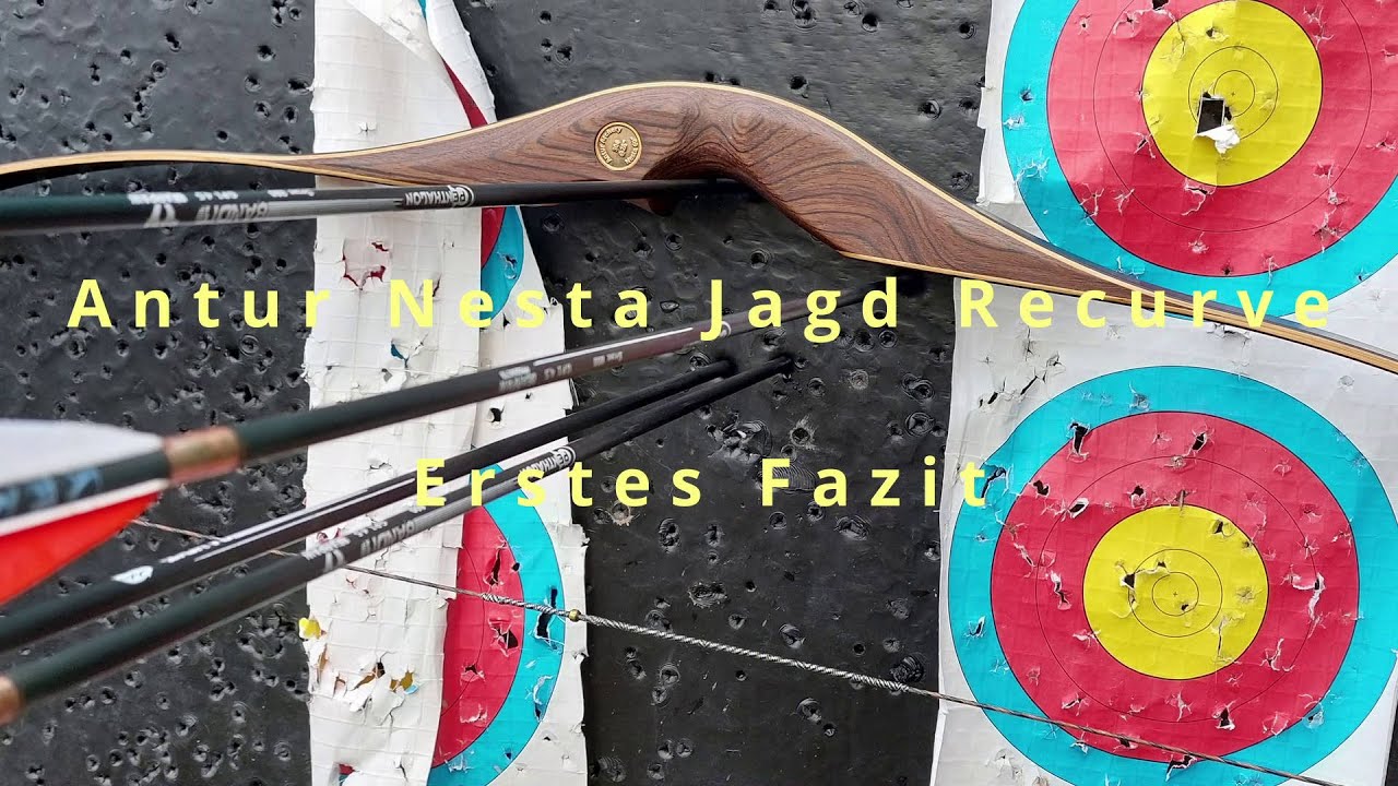 Antur Nesta - Erstes Fazit
