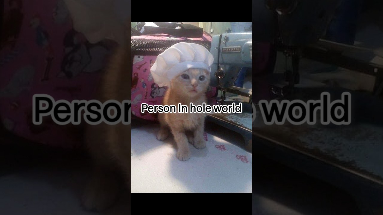 Отправьте это своему невысокому другу #georgieebom #cat #funny #trending #memes #fyp