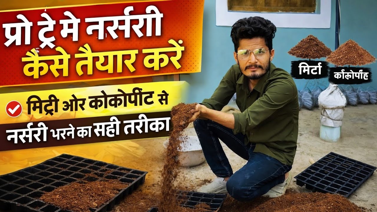 प्रो ट्रे में नर्सरी कैसे तैयार करें | मिट्टी और कोकोपीट से नर्सरी भरने का सही तरीका #shorts 