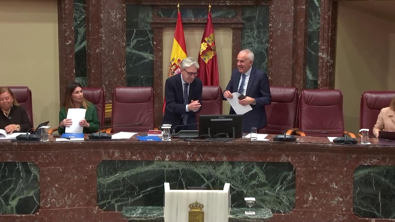 20260218 SESIÓN PLENARIA