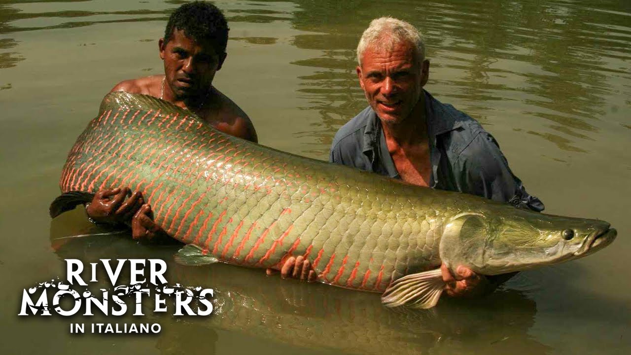 ARAPAIMA, il Pesce-Dinosauro! - River Monsters ITA S01E04