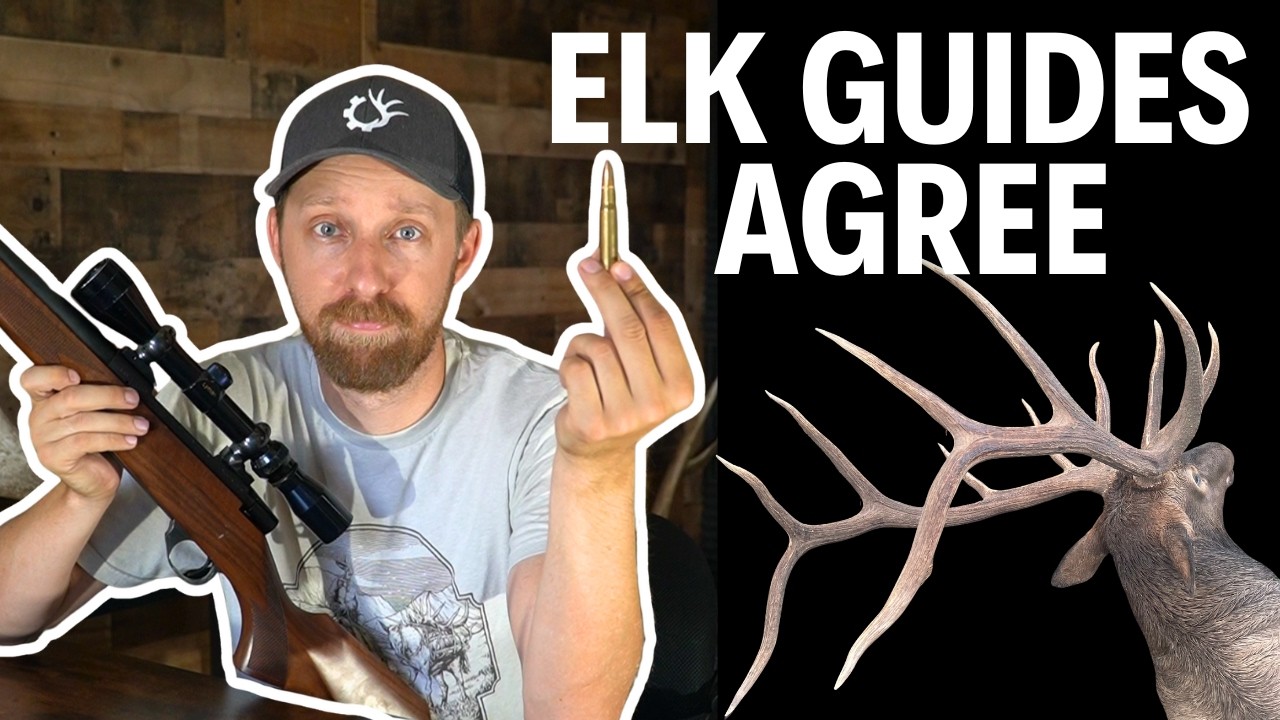 I Asked 100 Elk Guides What the Best Elk Hunting Cartridge Is