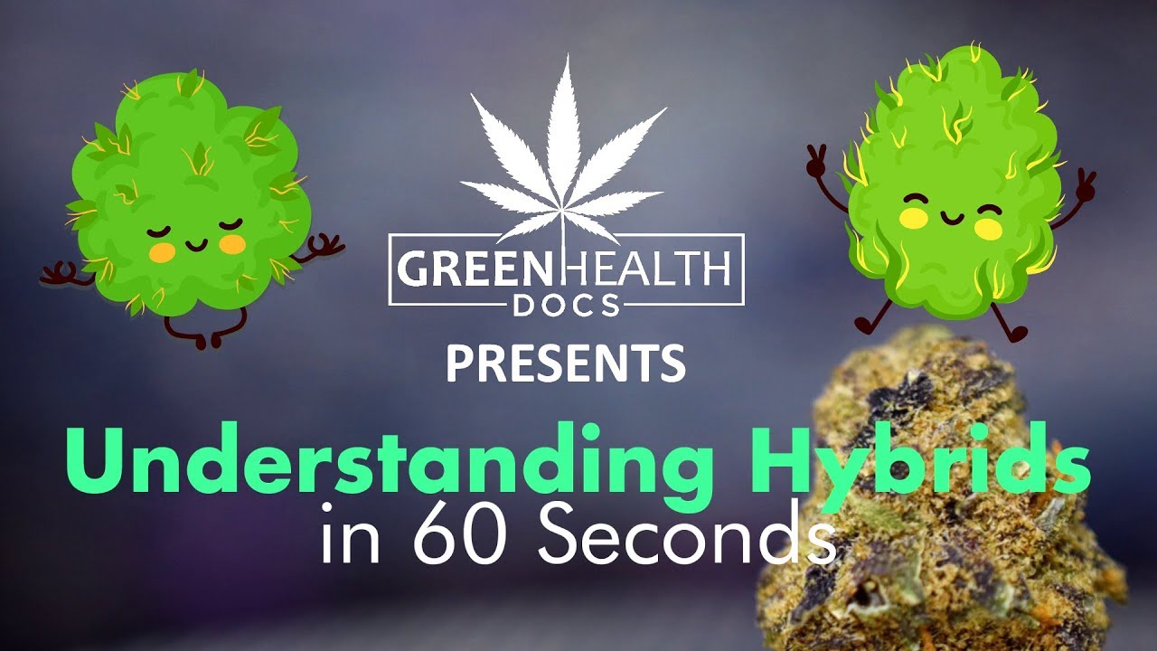 Understanding Hybrid Strains in 60 Seconds
