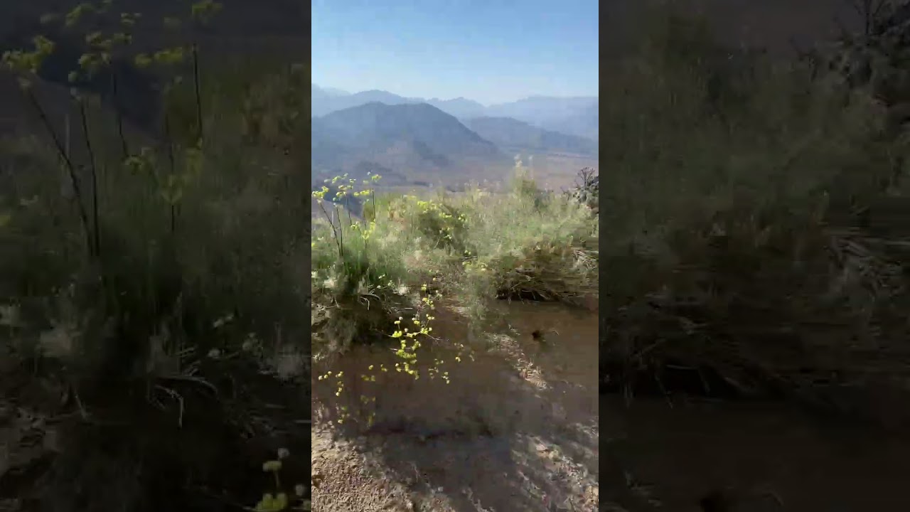 Drive Through Chimney Peak Wilderness in the Sierra Nevadas of California in the American West