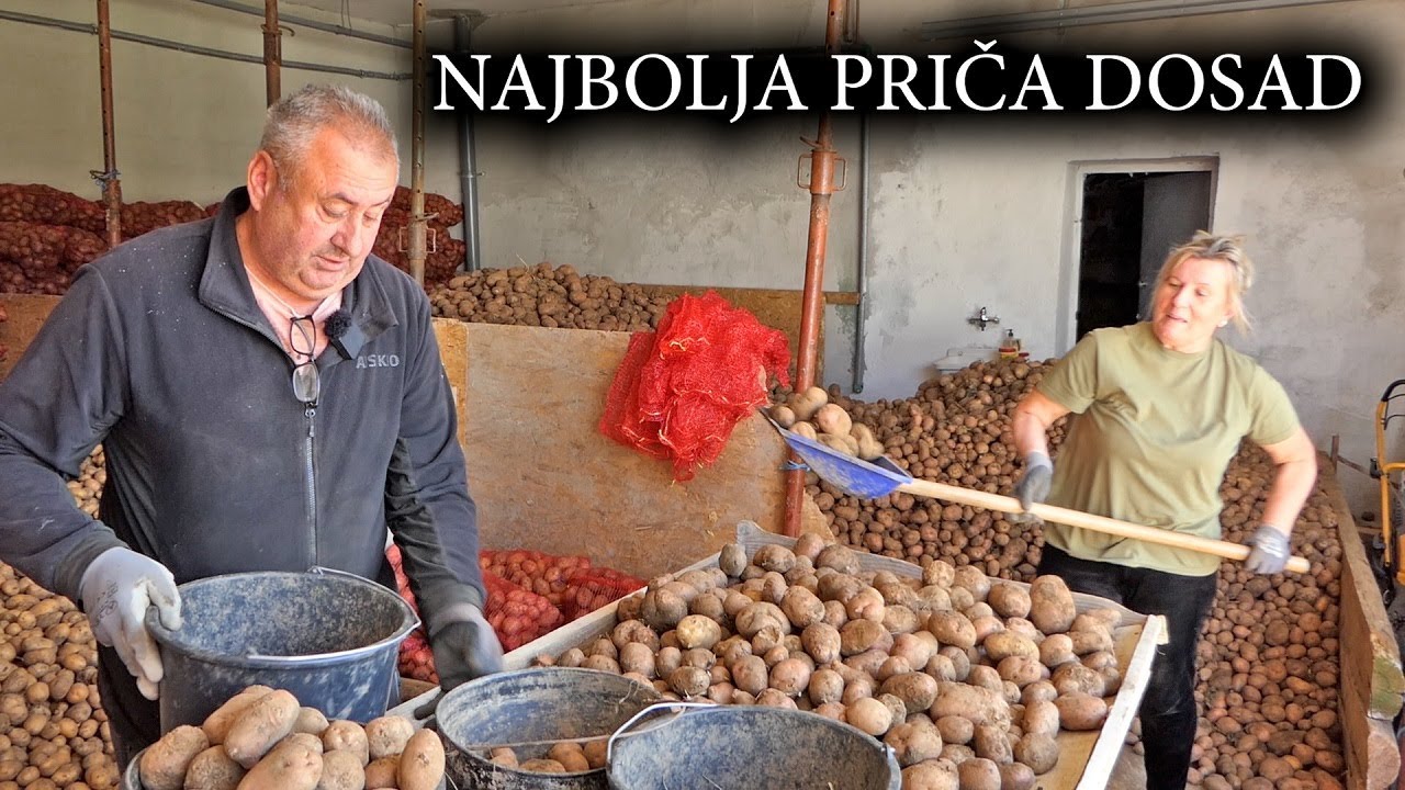 Nakon 20 godina vratili se iz Norveške u Glamoč, na 14 duluma pronašli 45 tona krompira