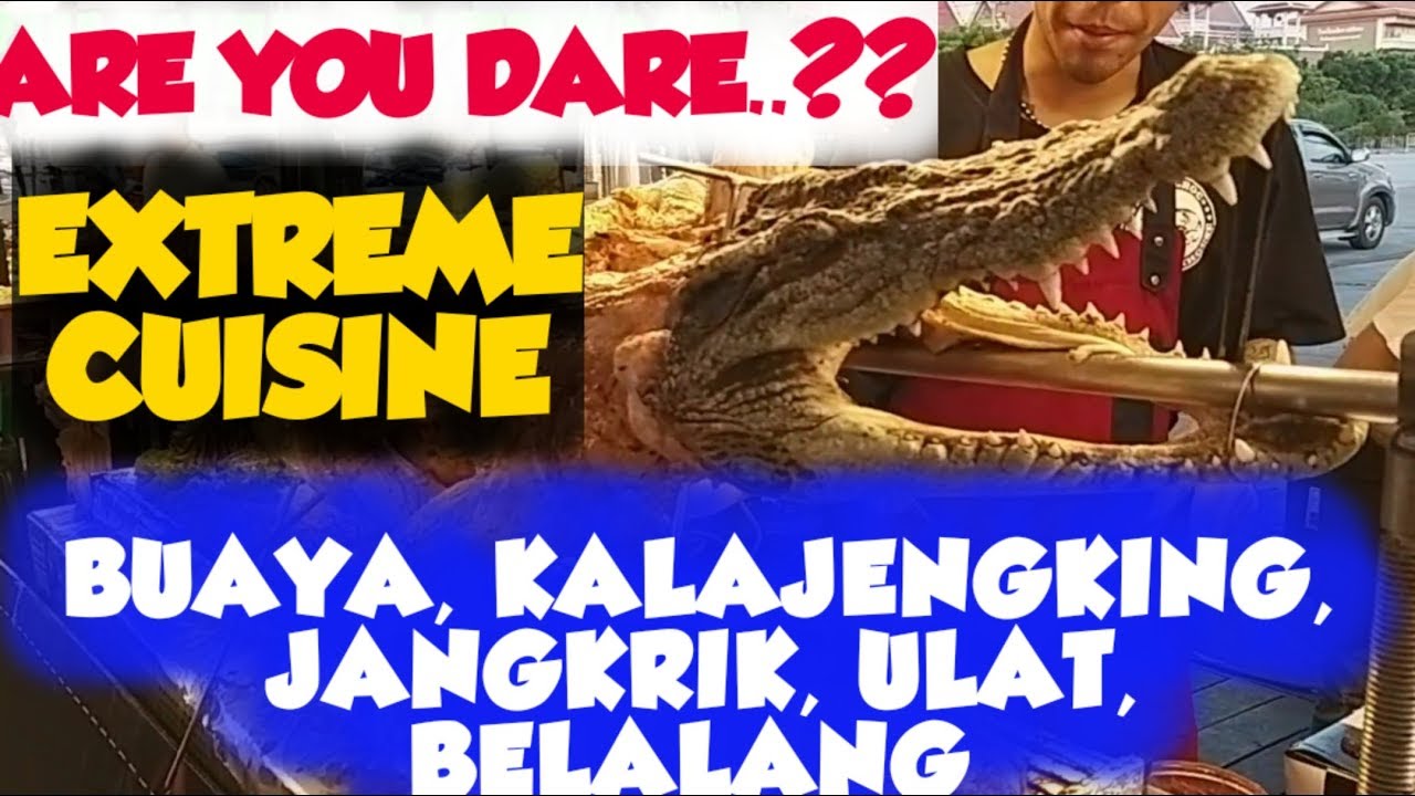 EXTREME CUISINE - KULINER EXTREME THAILAND