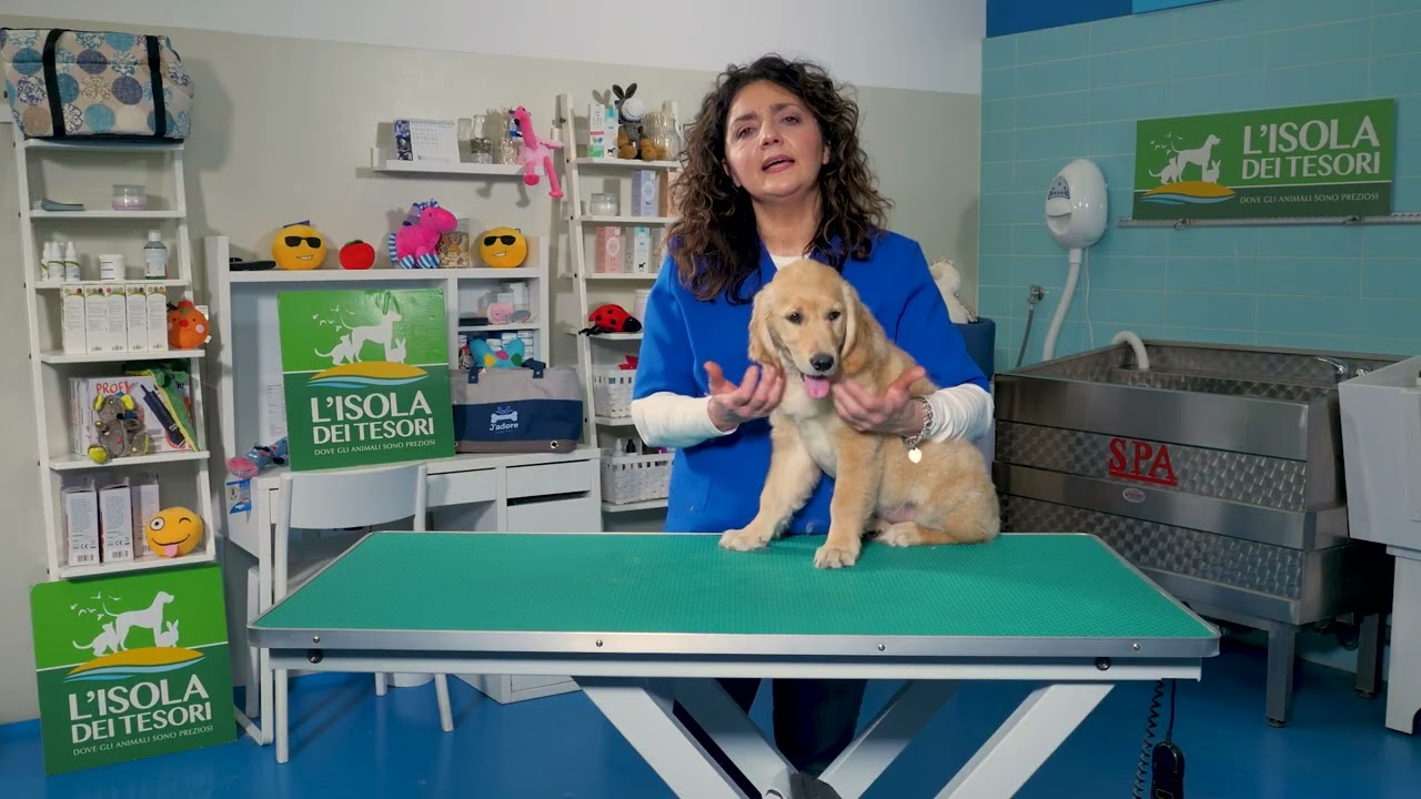 La pulizia del cane &ndash; i miti da sfatare