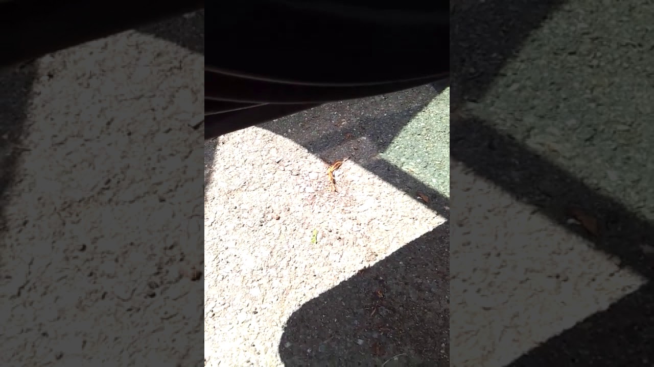 How to change Audi B7 S4 Door Blades