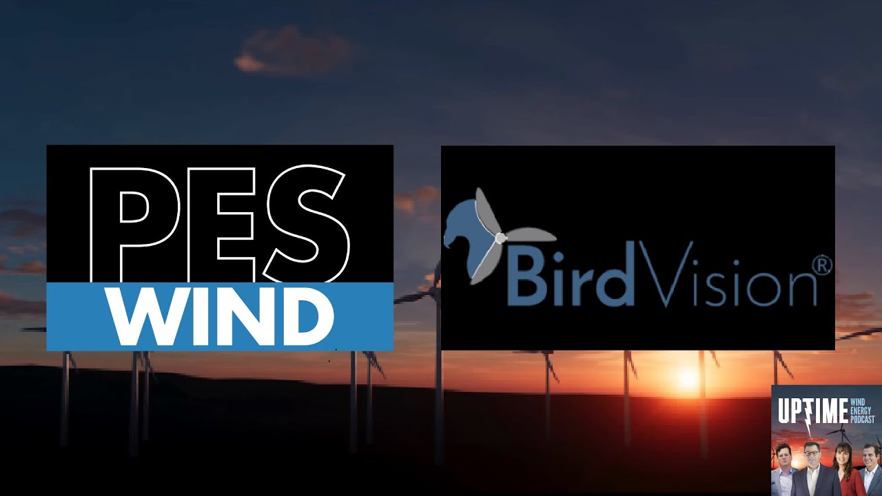 BirdVision предотвращает гибель птиц