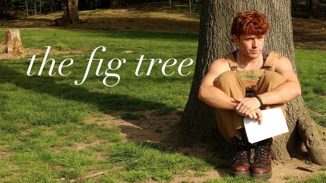 sylvia plath's fig tree and the fear of wasting your life