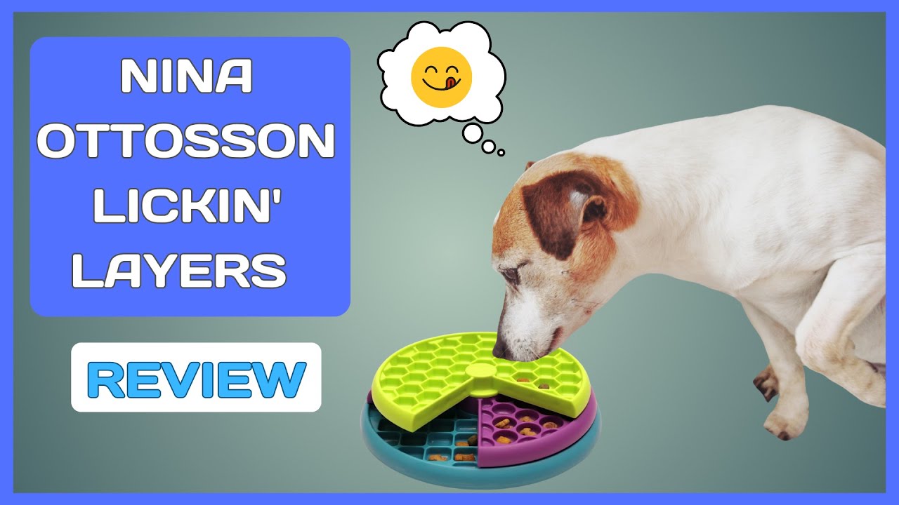 Nina Ottosson Lickin’ Layers Puzzle Review