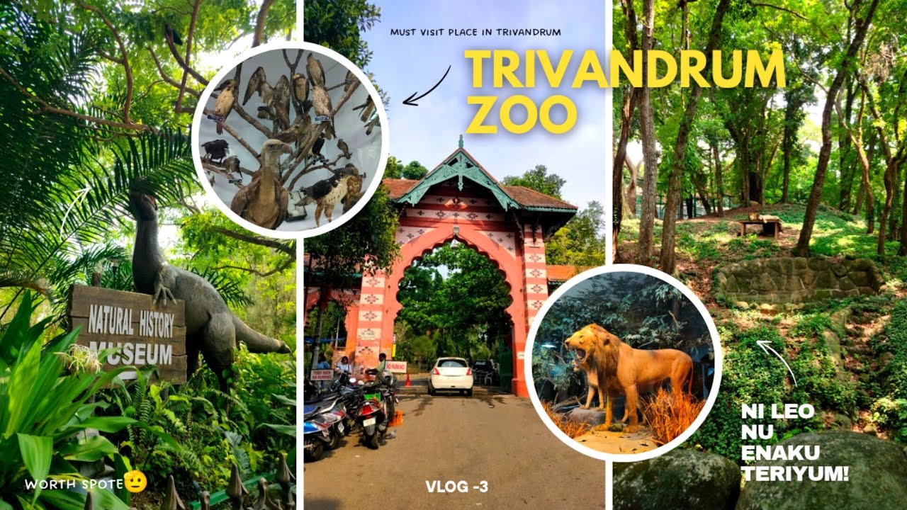 Animals எல்லாம் Quarter அடிச்சி குப்பற படுத்து கடக்குது🤭😭 | Trivandrum ZOO | Biggest zoo in Kerala 😮