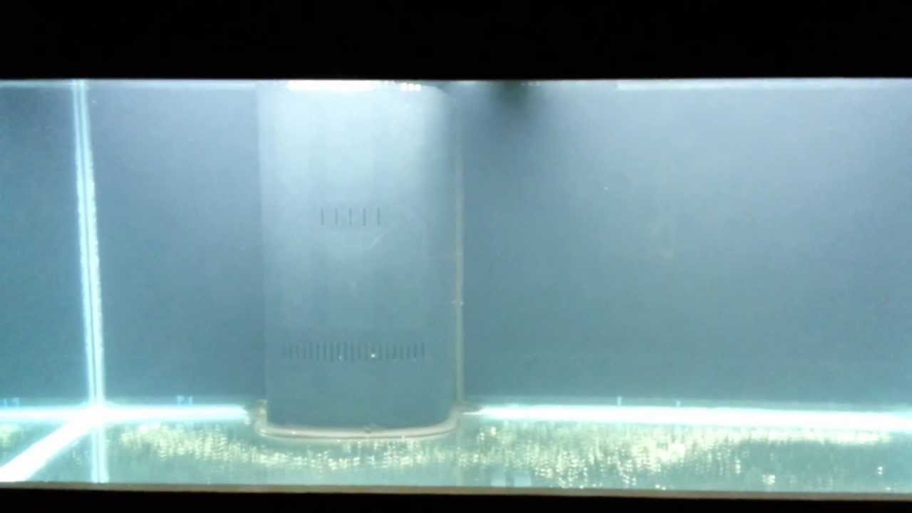 75 Gallon Aquarium Former Reef Tank