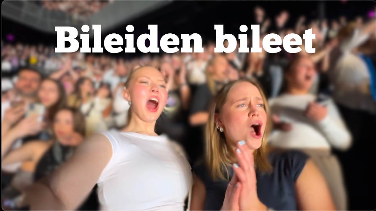 Nähtiin PITBULL livenä (ei se koira)