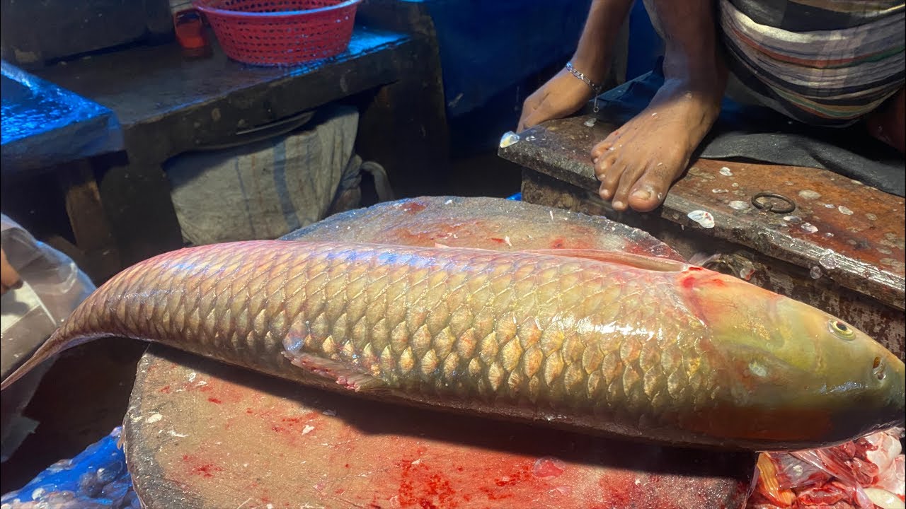 Real Fish Blogger // "Skill in cutting different types of fish 🐟🔪🐠🔪"