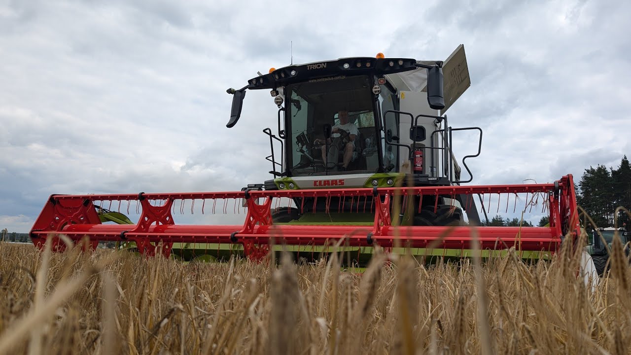 Pierwszy pełny dzień żniwny z Trion 640 🔥 Jęczmień nie zawodzi 💪