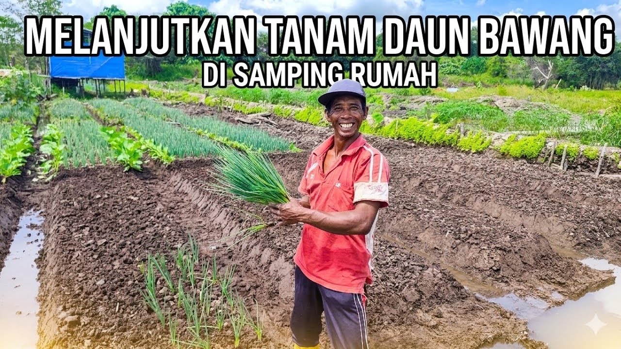 AKTIFITAS PAGI DENGAN CUACA YANG CERAH☀