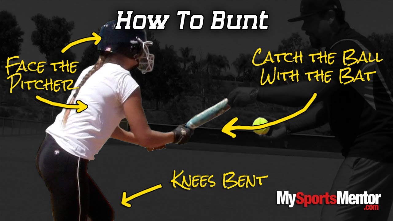 Softball: How to Bunt