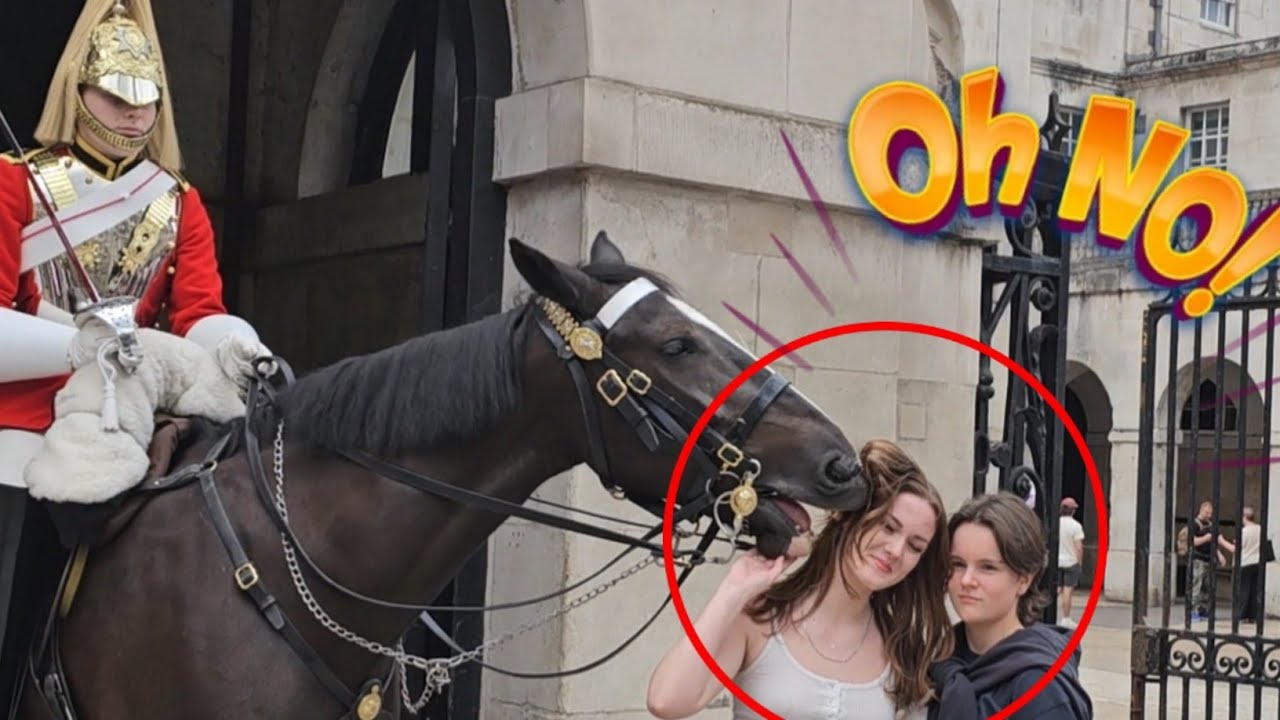 Tourist Shouldn't Be Allowed To Get So Close at The King's Horse