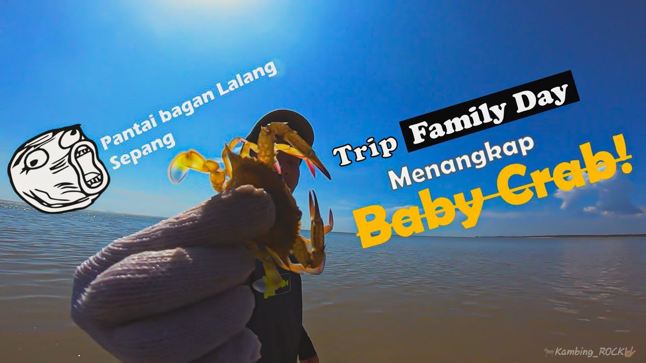 Tangkap BABY CRAB Di Pantai Bagan Lalang Sepang Malaysia