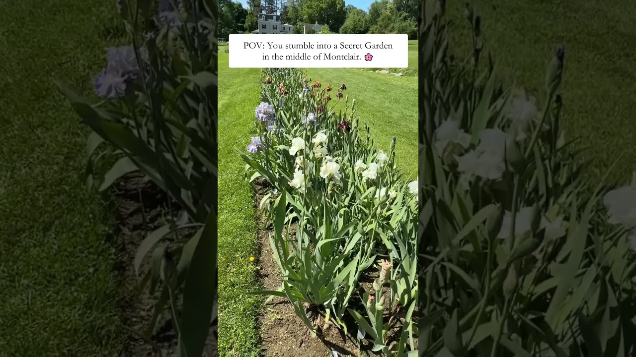 The secret garden in the heart of Montclair 🌷 #abetterviewrealestate #montclairrealestate