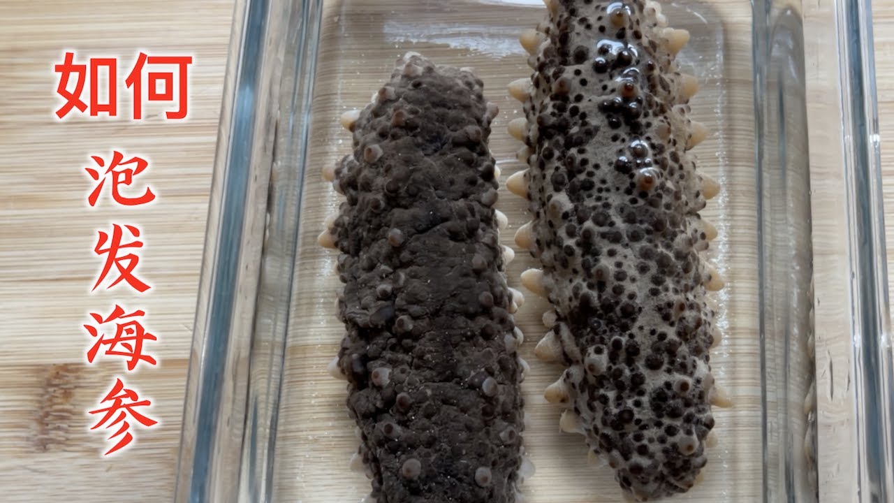 How to Soak Sea Cucumbers 如何泡发海参，泡发出胖乎乎的大海参
