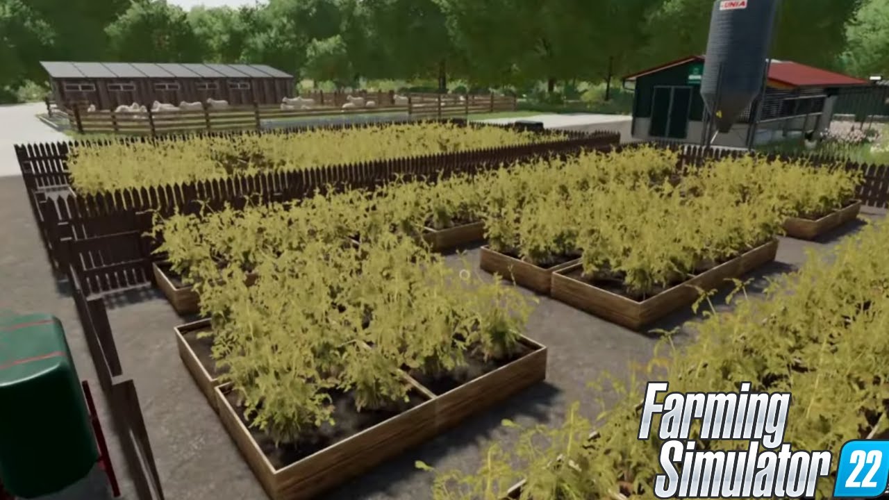 FS 22 HOBO'S HOLLOW #38 - SERRA APERTA PRODUCIAMO PATATE - GAMEPLAY ITA