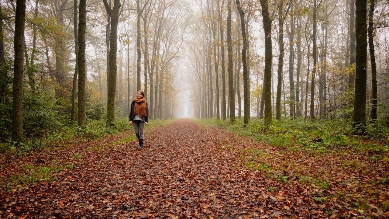 Herfst 🍂 - Taart bakken, buiten eten en naar het bos - Rustige vlog