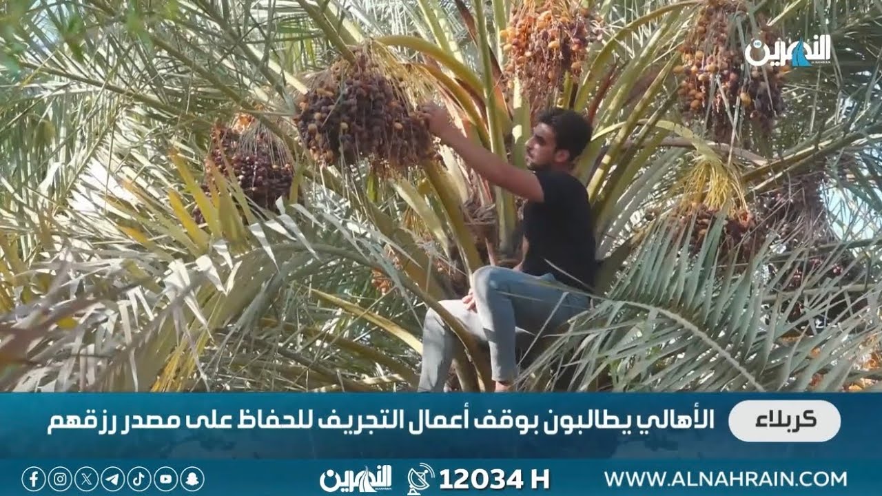 الأهالي يطالبون بوقف أعمال التجريف للحفاظ على مصدر رزقهم#قناة_النهرين_الفضائية 