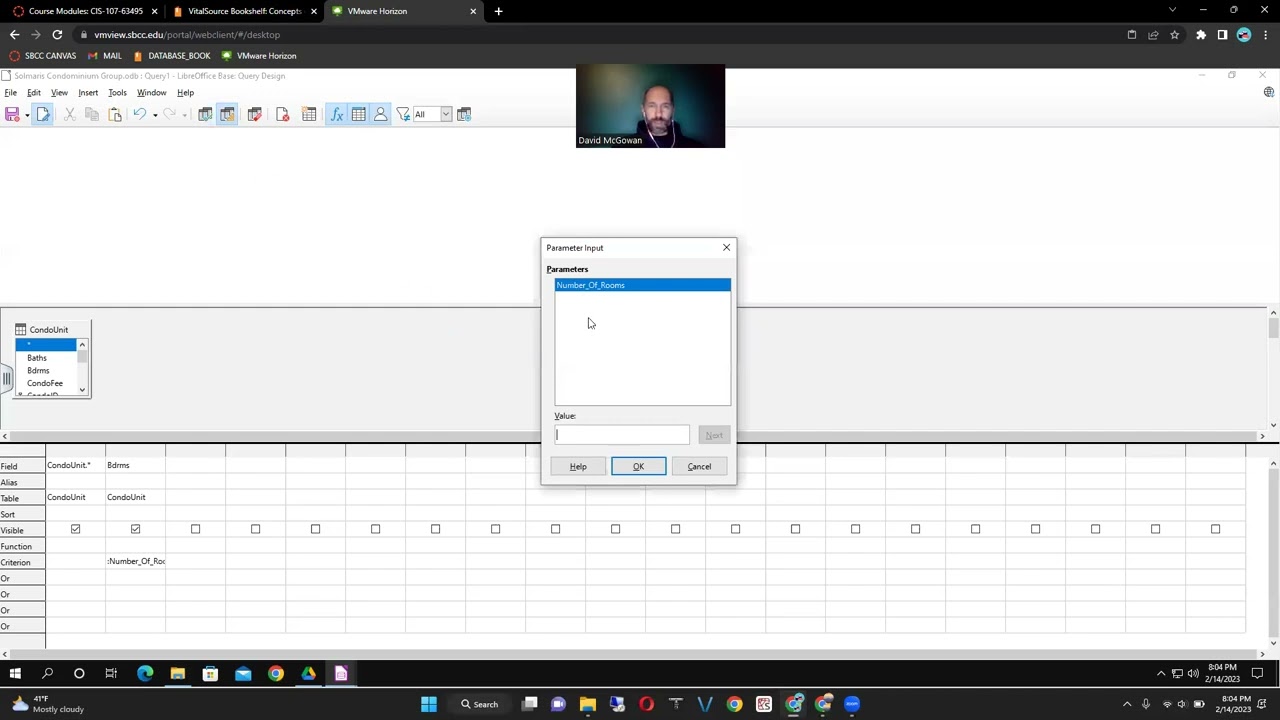 Parameter Queries in Libre Office Base