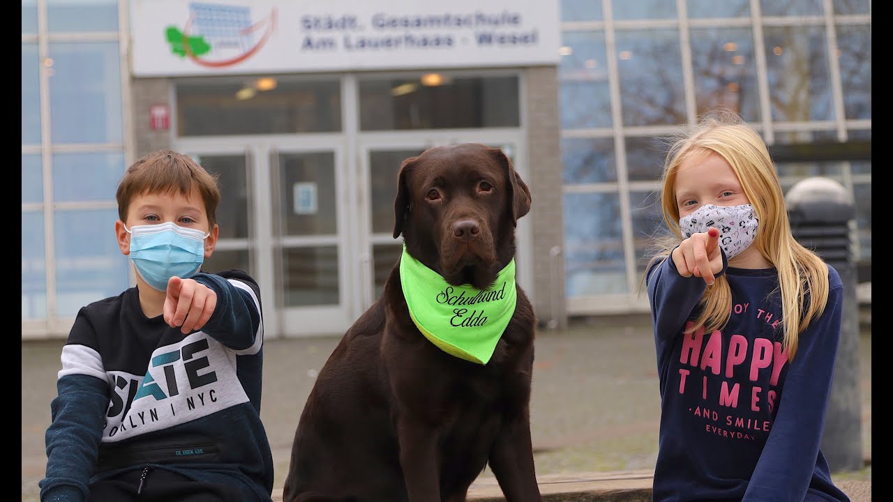 Die Gesamtschule am Lauerhaas