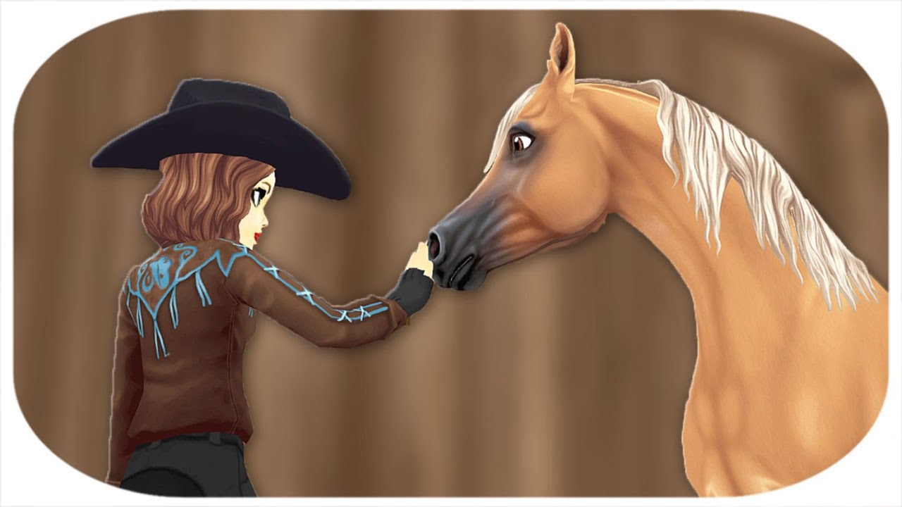 SSO Kurzgeschichte 🐴 Das Leben ist kein Ponyhof!