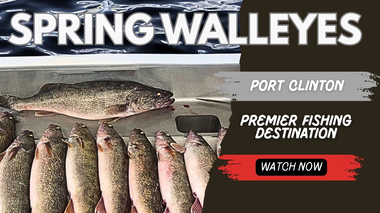 Spring GIANT Walleyes  { Lake Erie } 4-12-2025