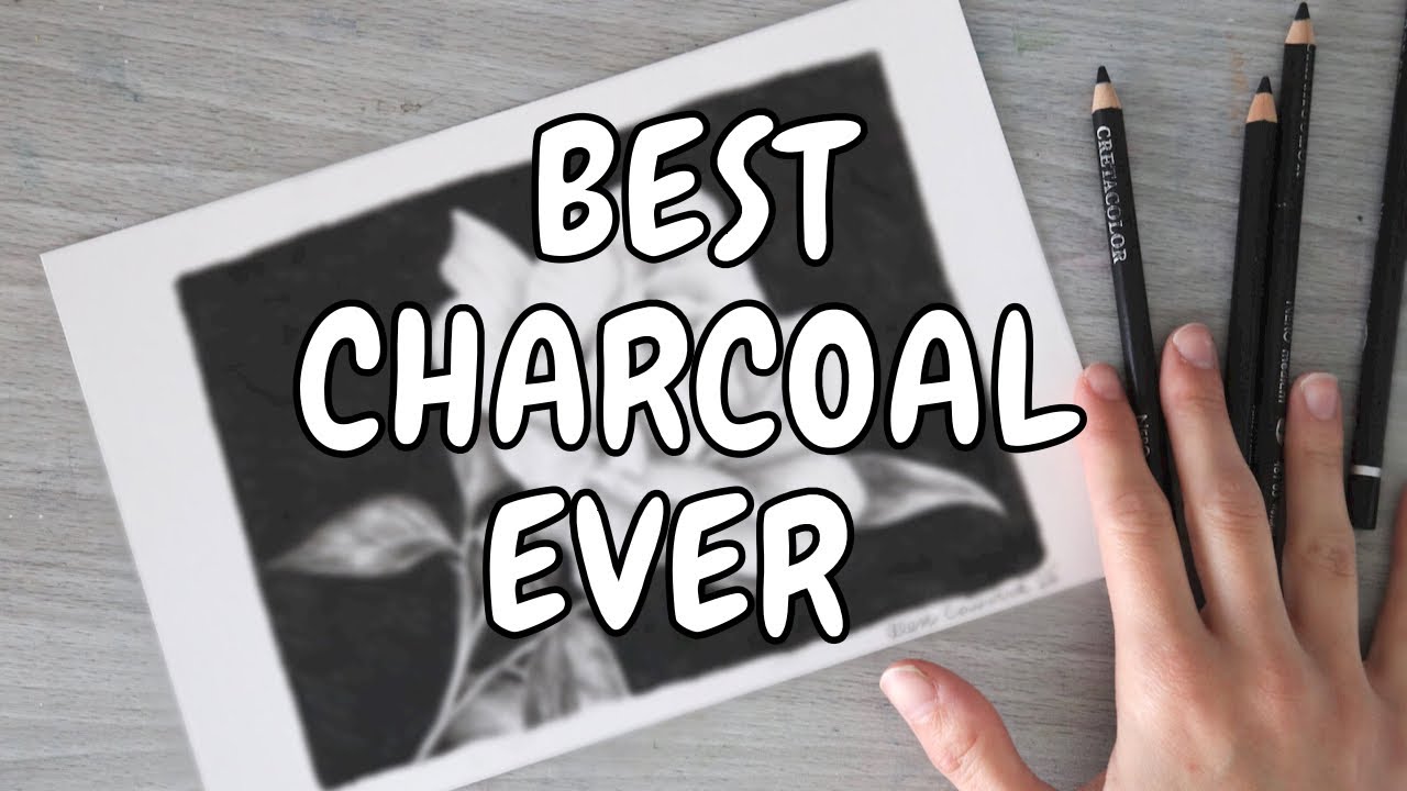 Рисунок розы карандашами Cretacolor! Я по-прежнему люблю масляные и угольные карандаши Cretacolor.