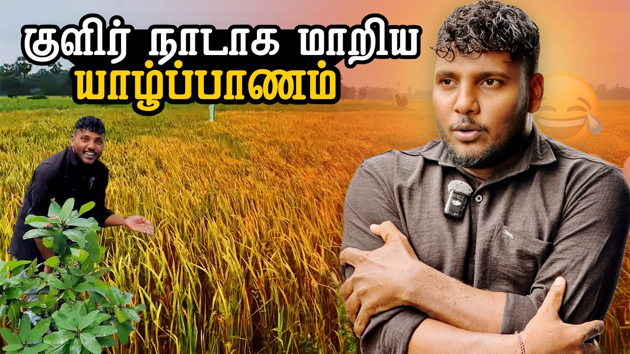 குளிர் நாடாக மாறியதா யாழ்ப்பாணம்? 🫢 | Jaffna Travel Vlog | Pavaneesan
