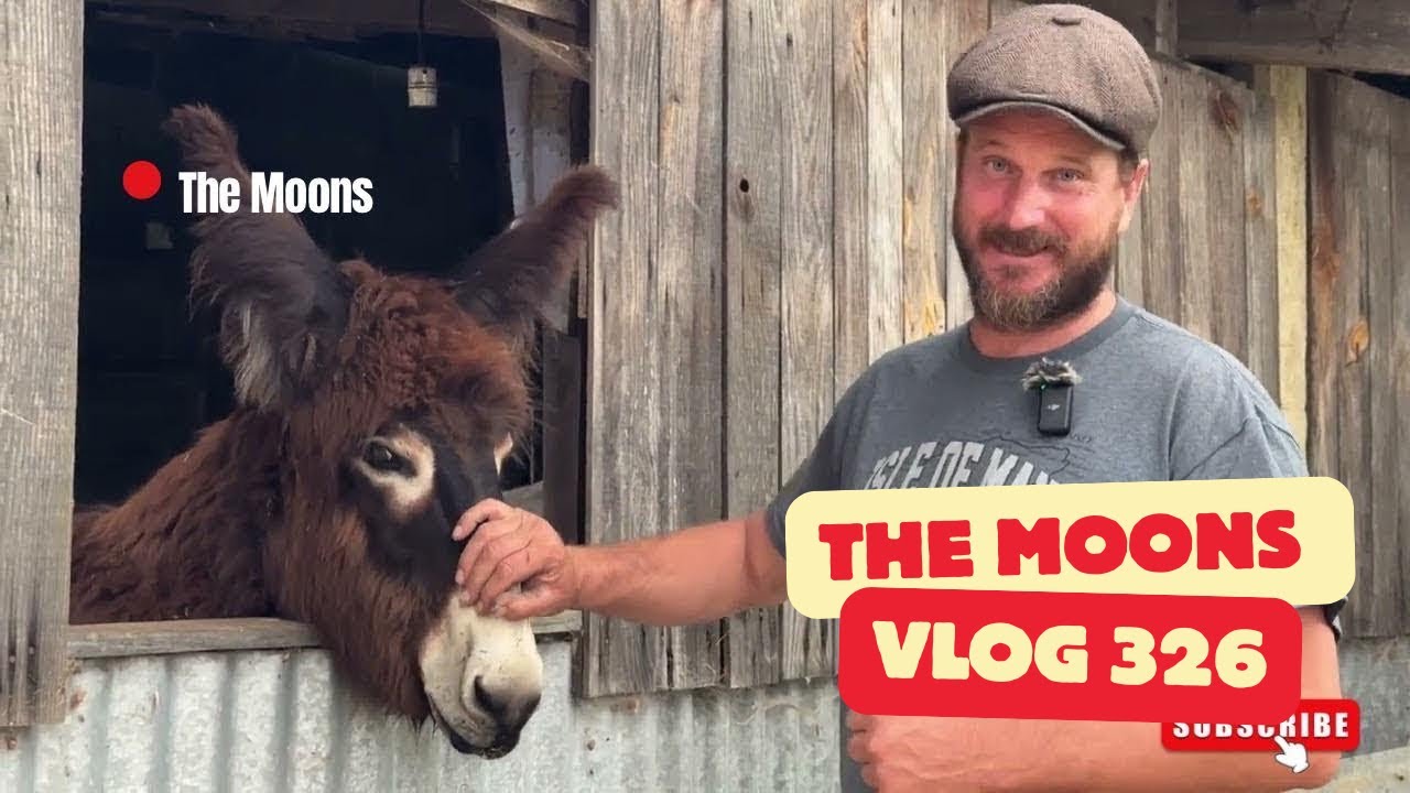 Hope and Healing on the Farm…. It’s been a difficult few weeks 
