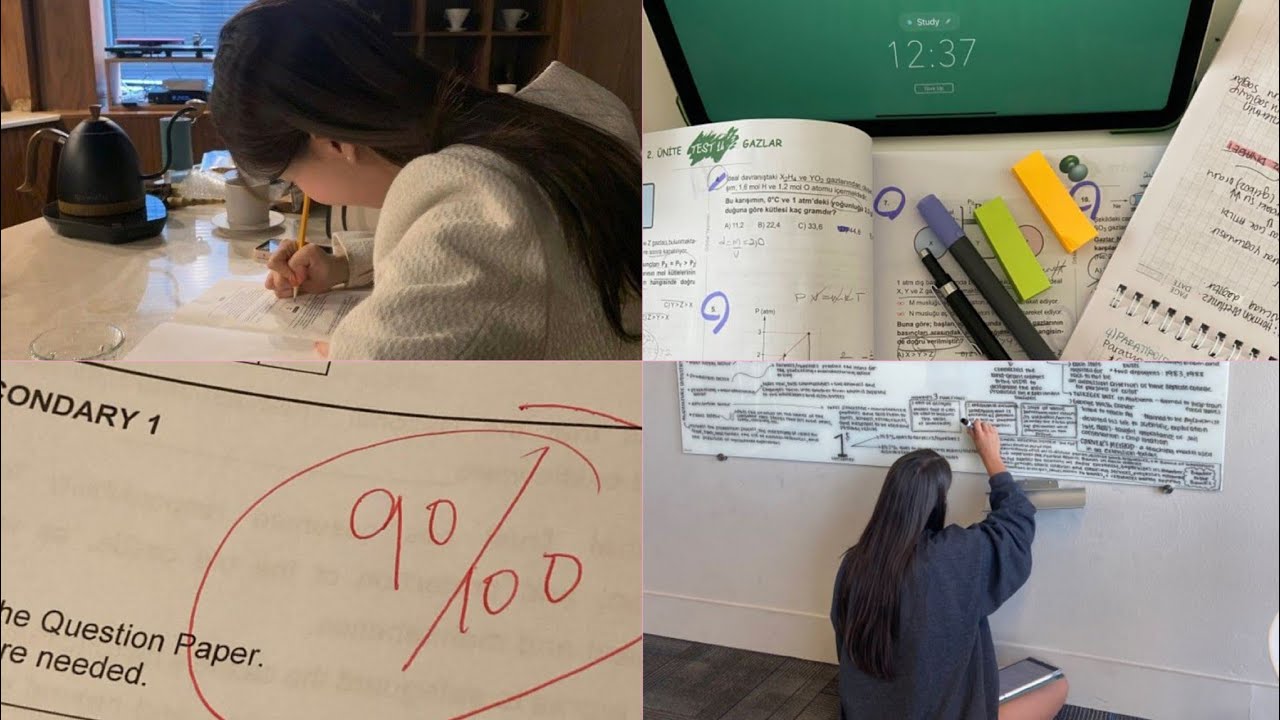 Toxic Study Motivation TikTok Compilation #5 📚