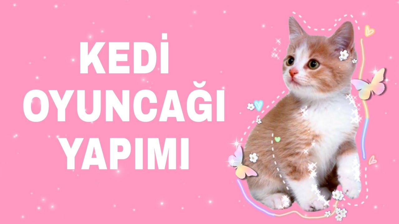 Kedim çok sevdi 😻 Kedi oyuncağı yapımı