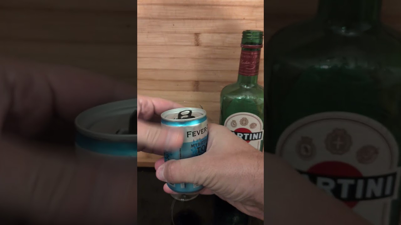 Vermouth and Tonic - Martini Rosso and Fever Tree Tonic 