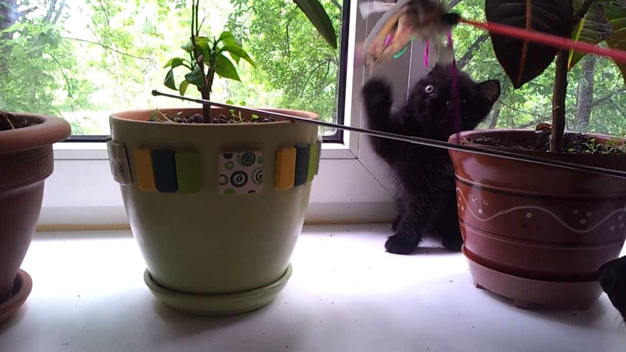 20120529 152447