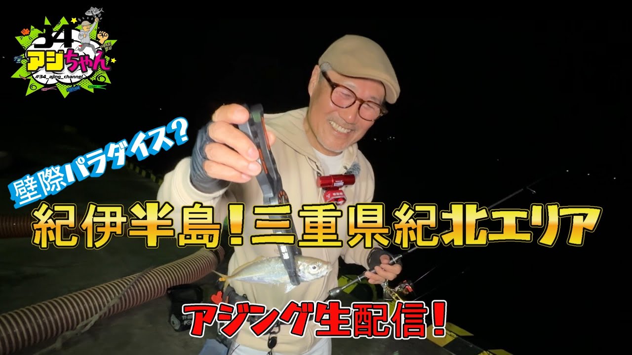 三重県紀北でアジング(ライブアーカイブ2025.0606)