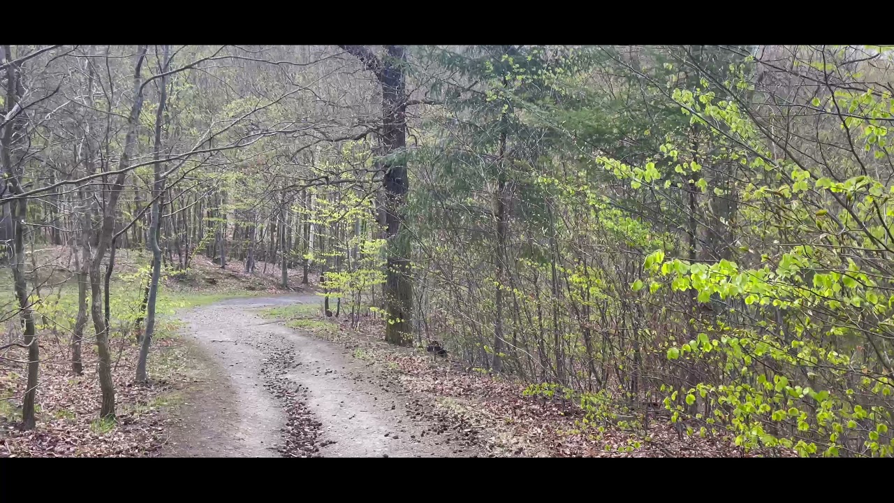 Blankenburg (Harz) Nature Drohne 4K