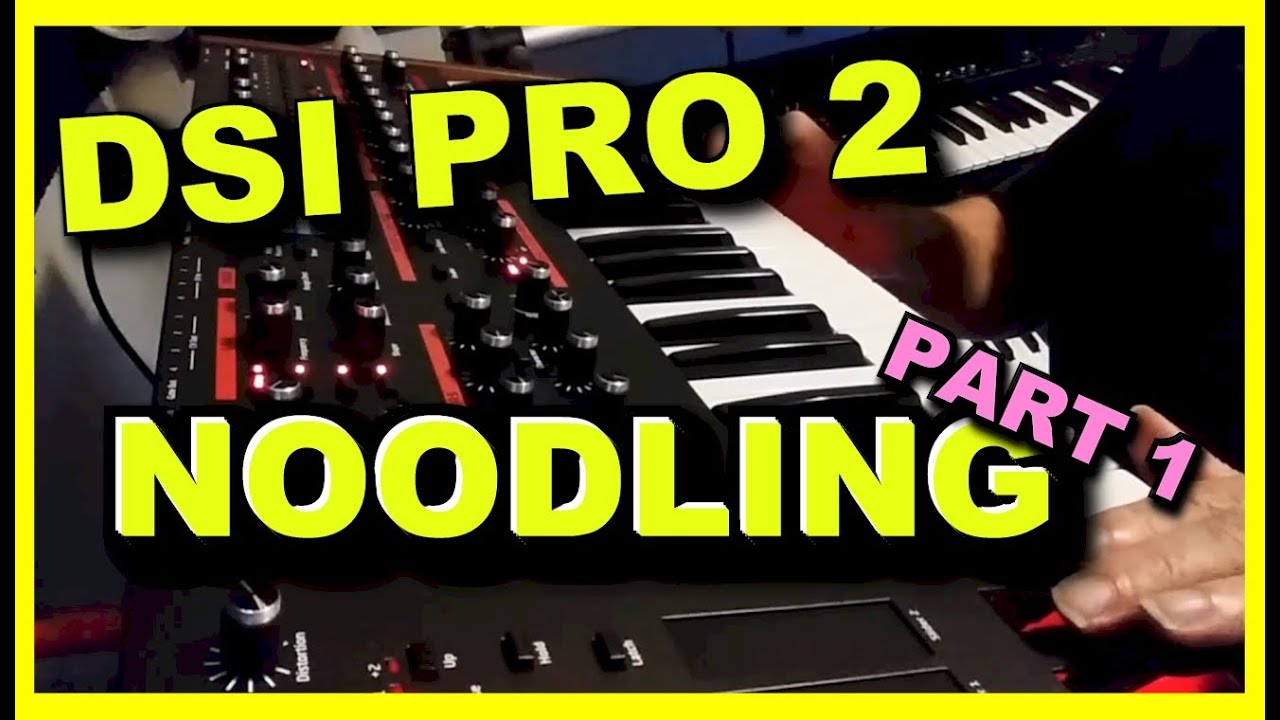 DSI Pro 2 Demo Part 1