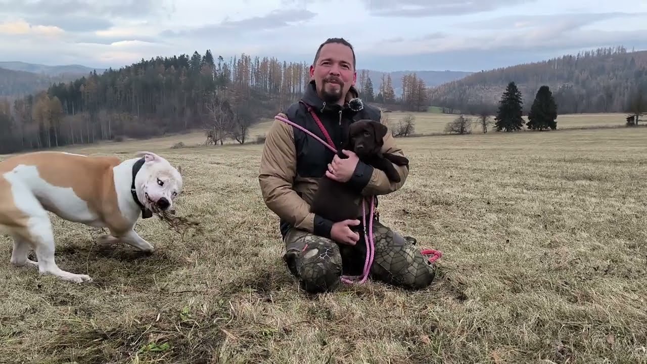 Idiopatická (patologická) agerese u psů? Vážný problém.