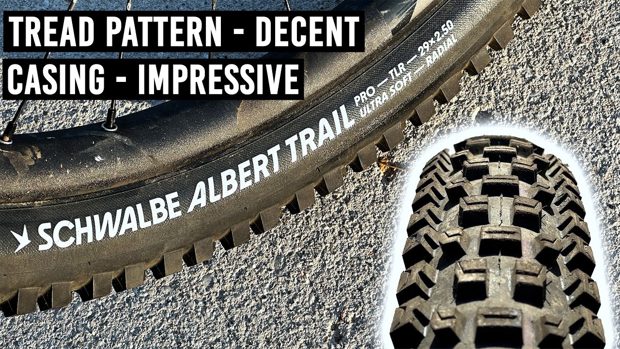 Обзор Schwalbe AlBerT Radial