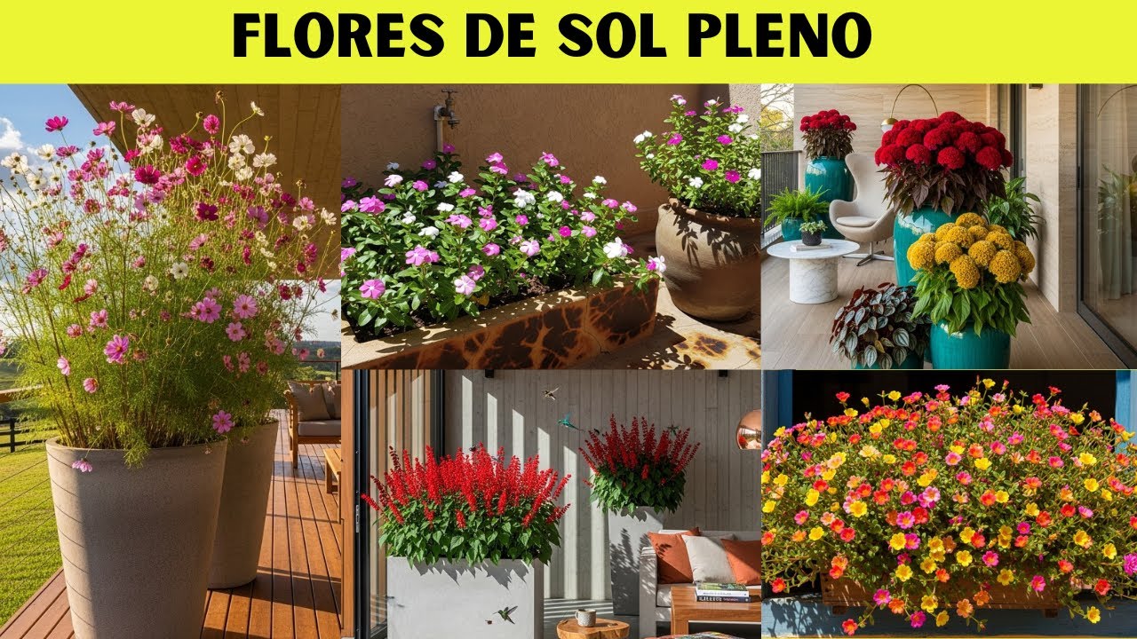 15 Flores Lindas Que Resistem ao Sol FORTE