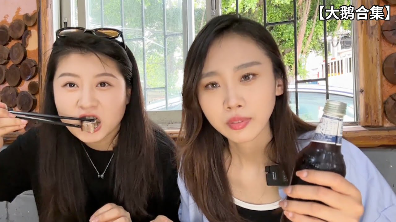 东北铁锅炖、广东烧鹅，南北鹅肉美食，谁才是鹅王？ 【大鹅合集】