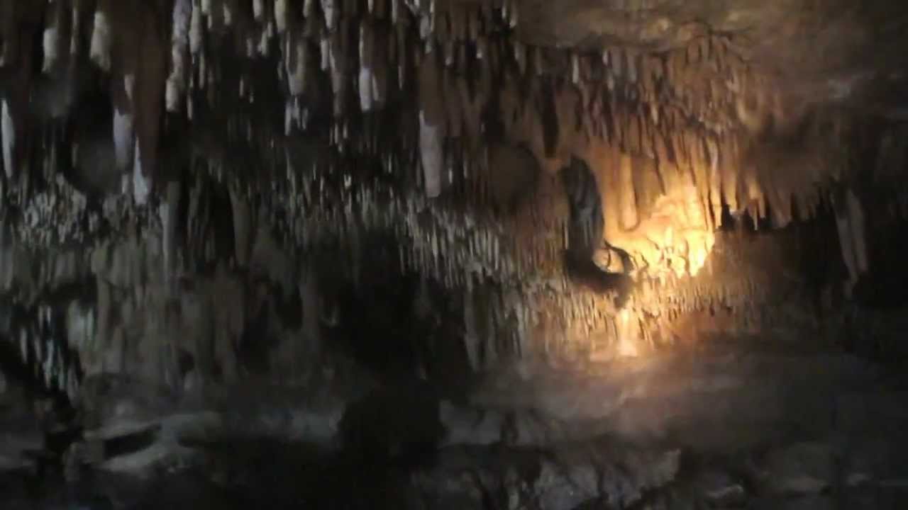 Grottes aux racines - Cenotes Chac Mool 2013 | par Luc Sergerie
